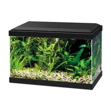 Acquario Pesci 20 litri