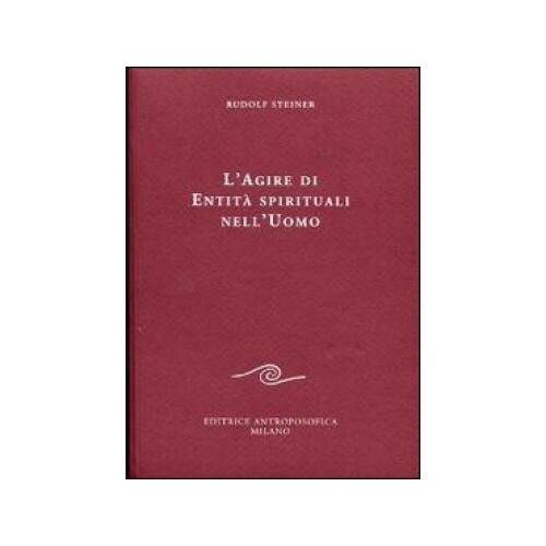 Libro agire di entita - l',