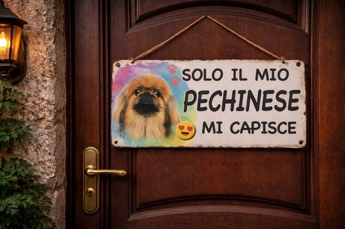 Targhetta per porta solo il - “solo,