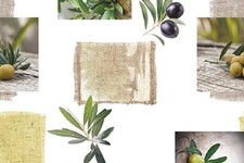 Tovaglia di Tela Cerata Merce