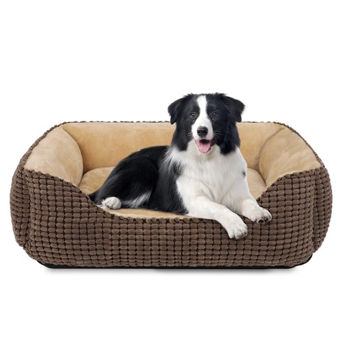 Cuccia cane interno - cuccia,