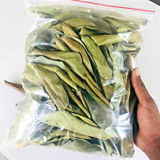 Foglie di Soursop essiccate -