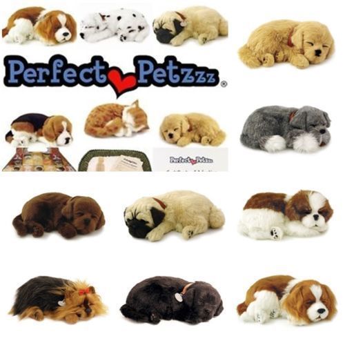 Perfect petzzz cani - perfect, e
