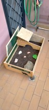 Terrario Per Tartaruga