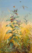 Milkweeds By Fidelia Bridges