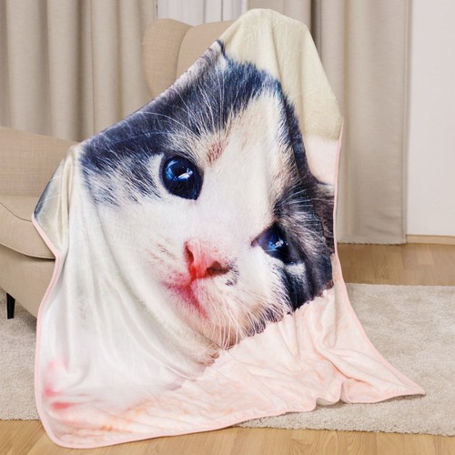 Gatto gattino coperta plaid - gatto,