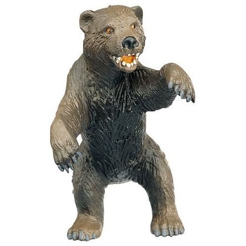 Orso delle caverne - , di