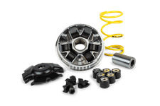 Variatore Malossi Multivar