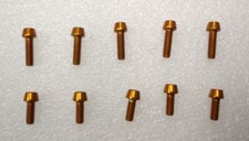 VITE ERGAL ORO TESTA TORNITA