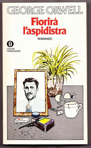 Fiorira aspidistra george - l'aspidistra,