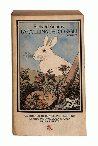 Ebond collina dei conigli - collina,