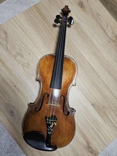 Vecchio violino luppolo - violino,