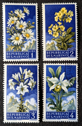 San marino fiori piante - fiori,