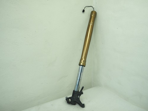Forcella stelo destra - stelo,