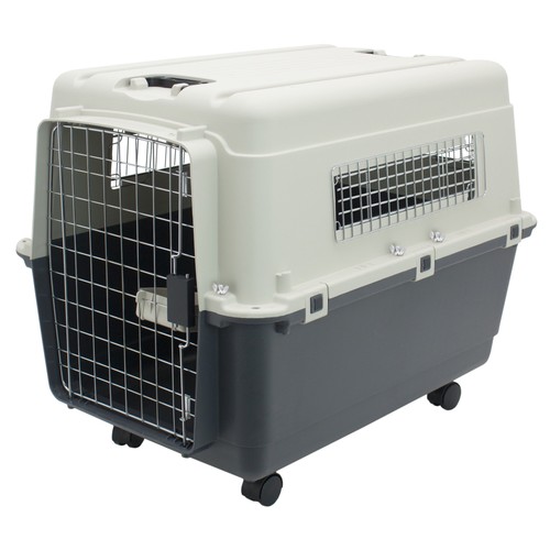 Cuccia per cani plastica - cuccia,