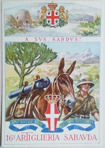 Cartolina reggimento - cartolina, 16