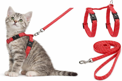 Pettorina gatto gattino elza - pettorina,