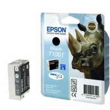 Epson T1001 cartucce