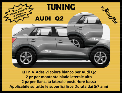 Adesivi audi scritta - q2,
