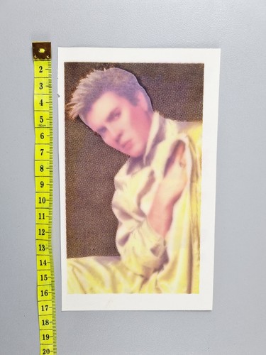 Trasferelli morten harket - trasferelli,