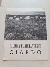 Vincenzo Ciardo galleria