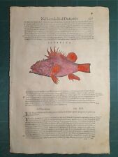 MATTIOLI MATTHIOLI Erbario a