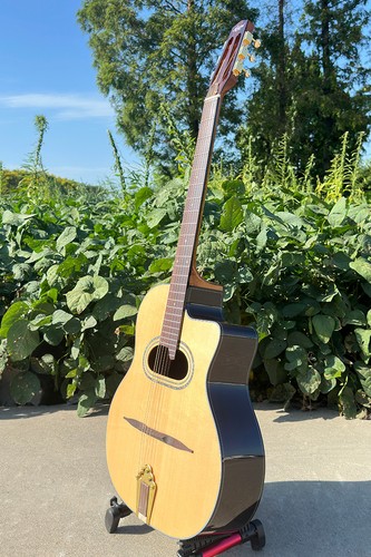Video solid spruce arch top - [video],