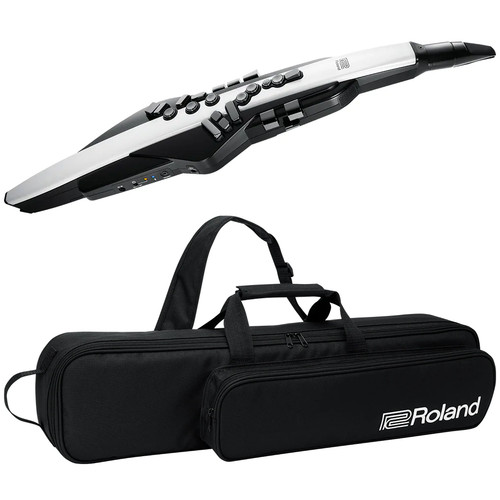 Roland aerofono - ae-20,