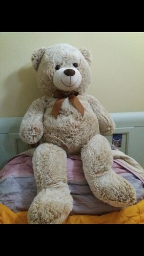 Orso peluche gigante 100cm 
