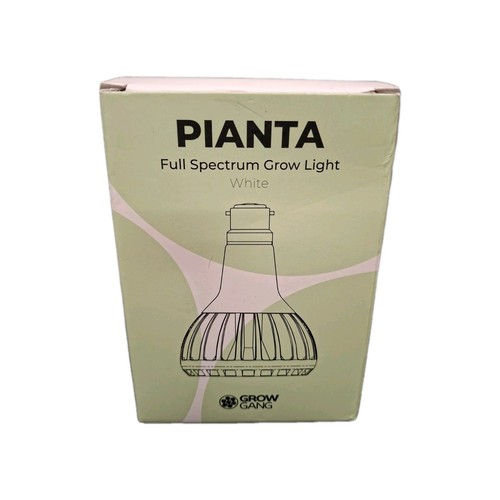 Grow gang pianta - pianta, lampadina