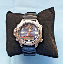 Raro e Vintage Citizen