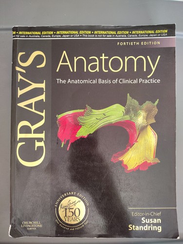 Gray anatomy 40th - gray's,