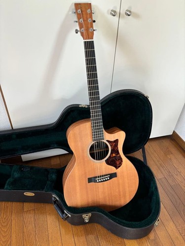 Chitarra elettrica acustica