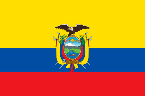 Bandiera ecuador 30x45 - bandiera,