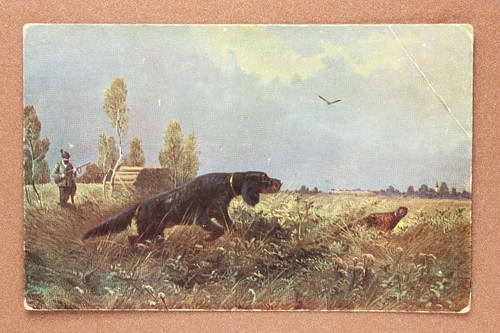 Cartolina antica cane - , da