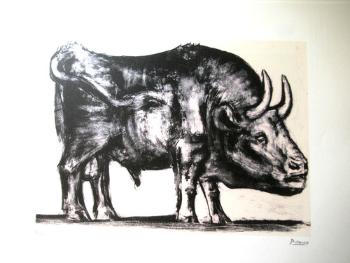 Pablo picasso bellissima - pablo,