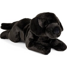 Labrador cane sdraiato nero