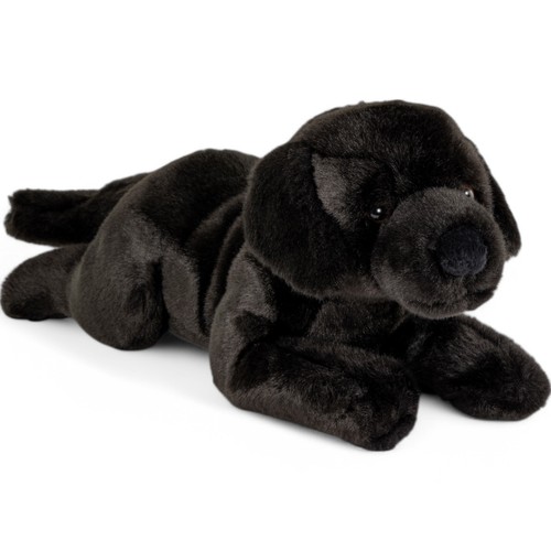 Labrador cane sdraiato nero