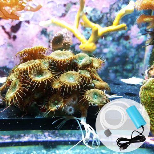 Mini usb portatile acquario - usb,