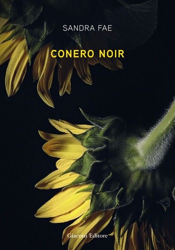 Libri sandra fae conero noir - fae,