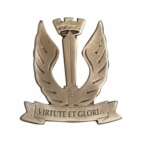 Distintivo aeronautica - distintivo,