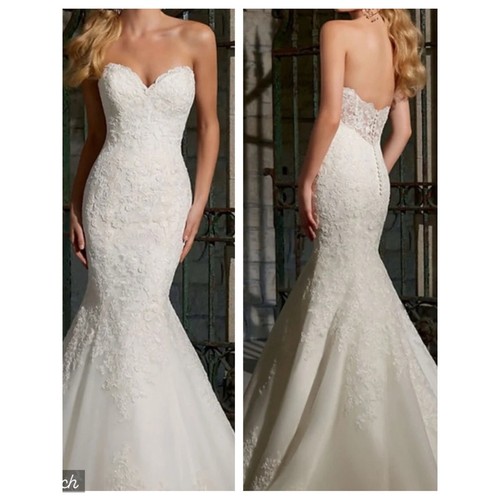 Gorgeous new mori - new,