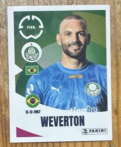 Palmeiras panini fifa club - fifa,