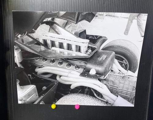 Foto furetto dettaglio motore