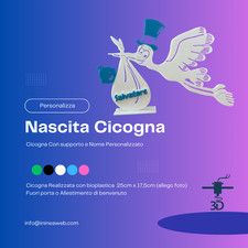 Cicogna Nascita Maschio o