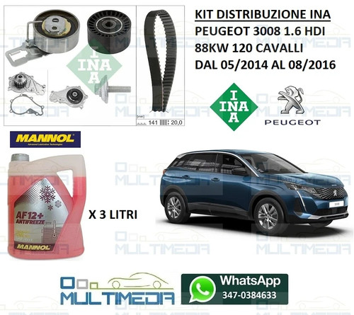 Kit distribuzione ina pompa - kit,