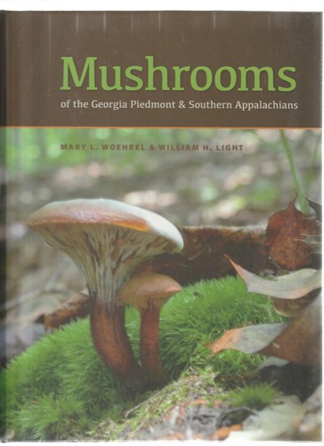 Mushrooms the georgia - mushrooms,