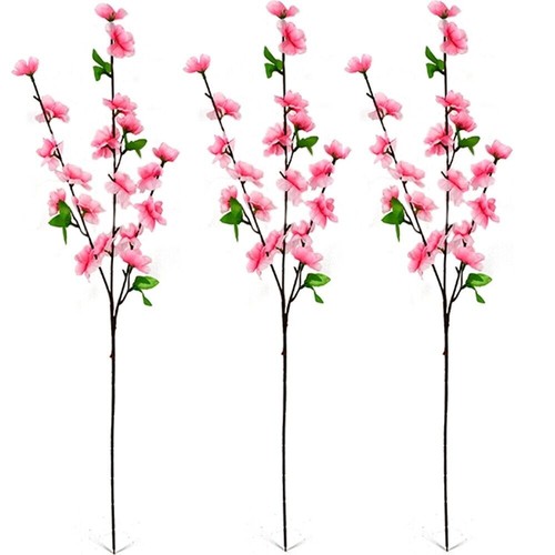 Ramo fiori pesco - per, albero