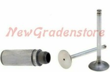 Kit valvole + guidavalvole