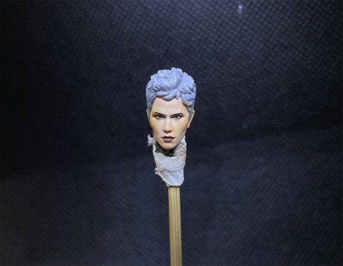 Modellino dipinto storm - dipinto, 1/18